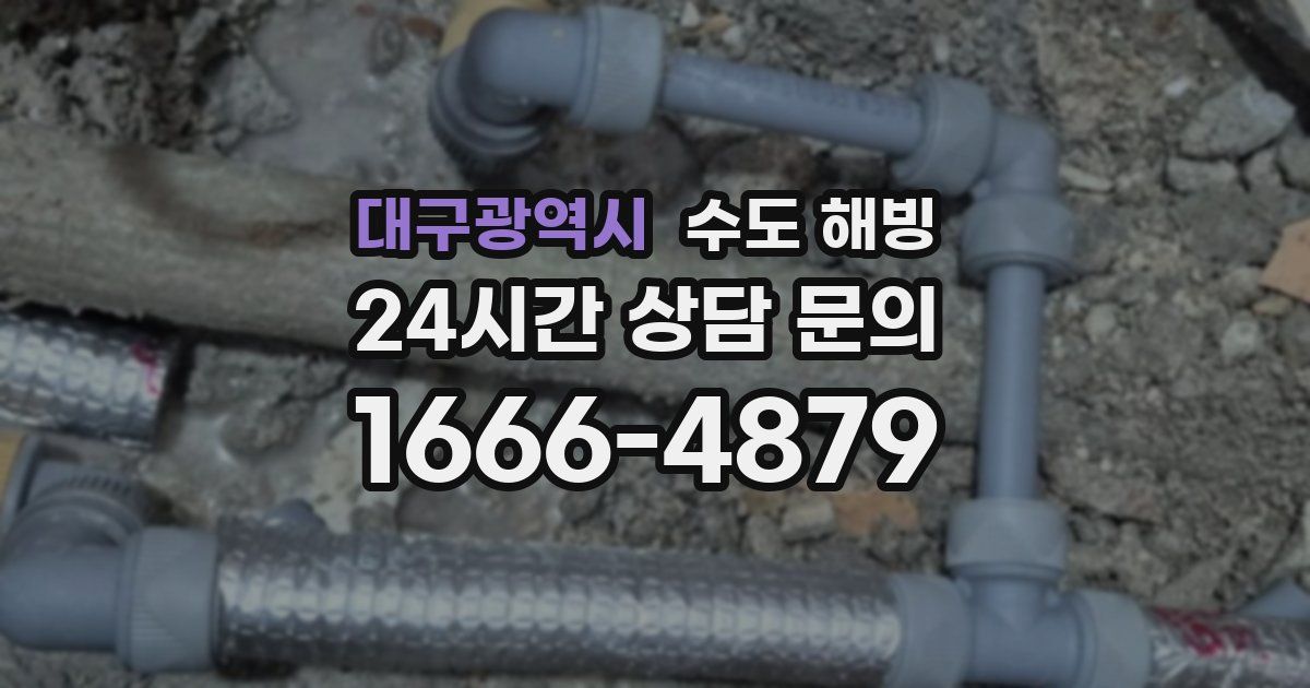 대구광역시 수도 해빙