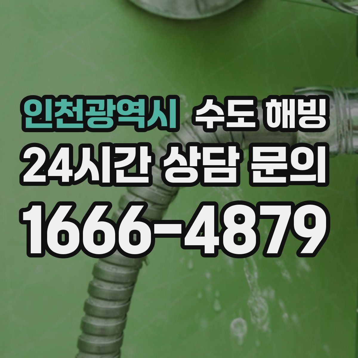 인천광역시 수도 해빙