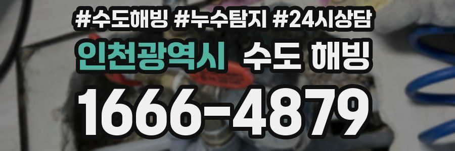 인천광역시 수도 해빙