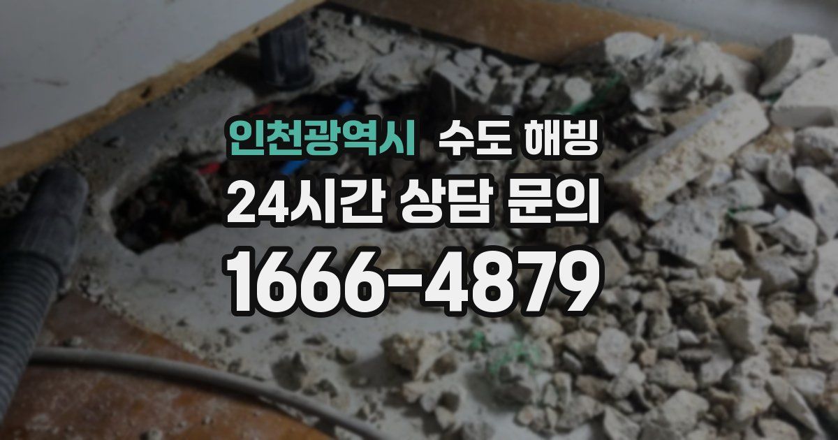 인천광역시 수도 해빙