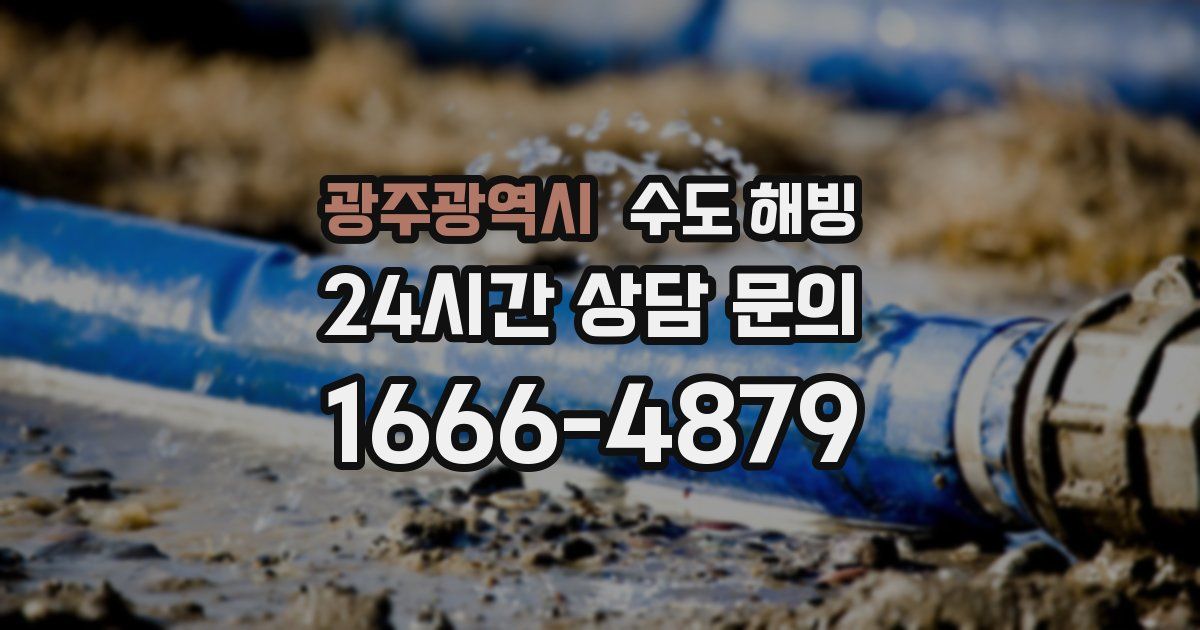 광주광역시 수도 해빙