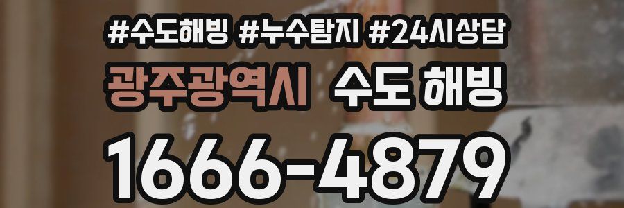 광주광역시 수도 해빙
