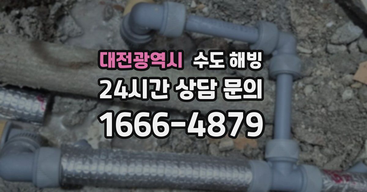 대전광역시 수도 해빙
