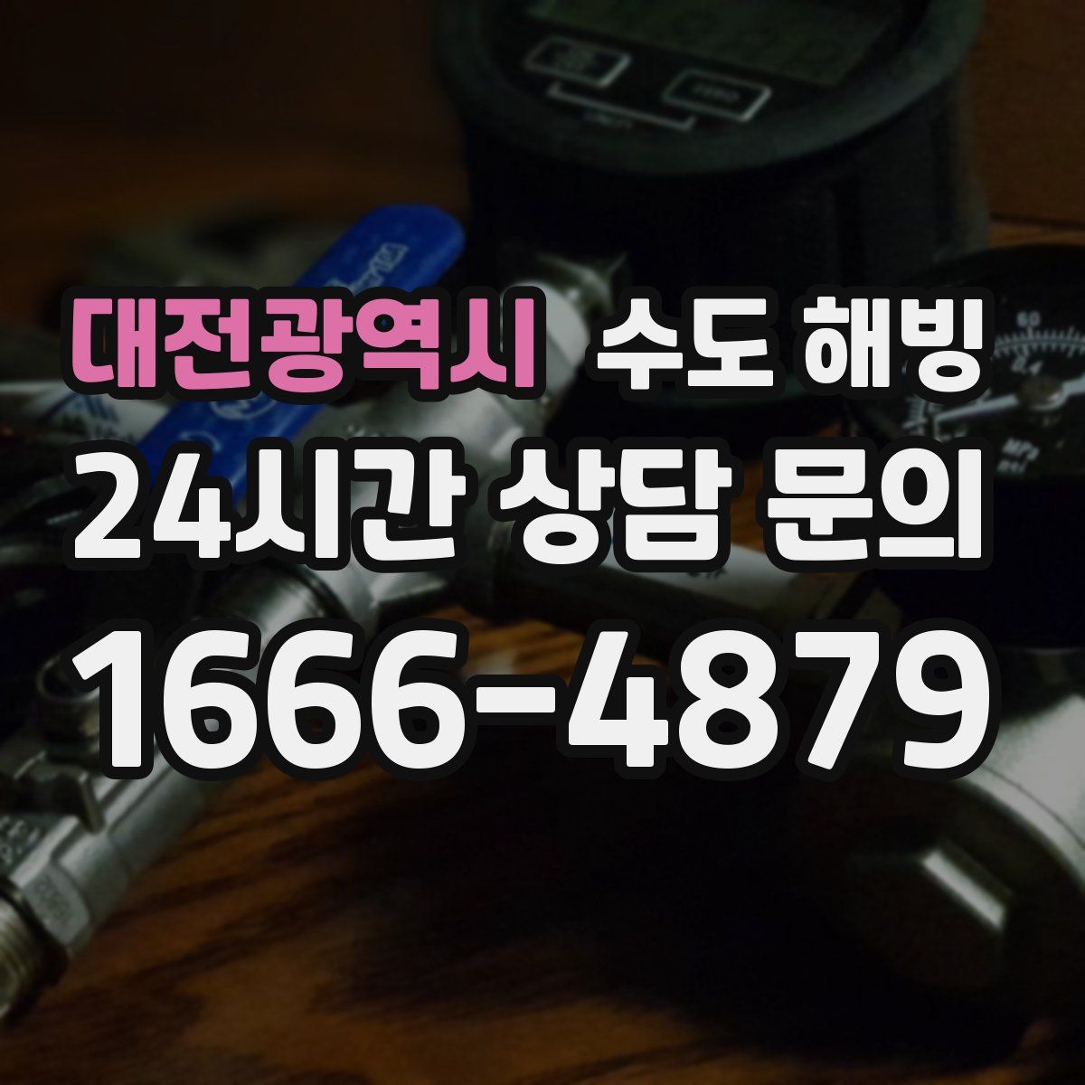 대전광역시 수도 해빙