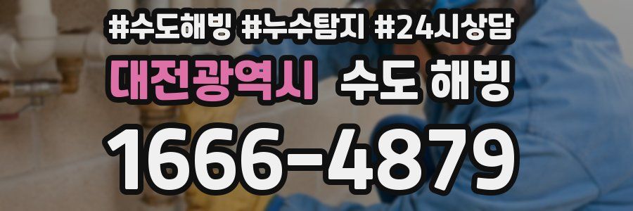 대전광역시 수도 해빙