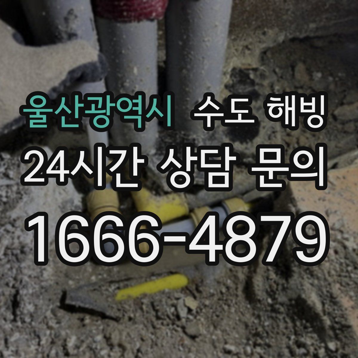 울산광역시 수도 해빙