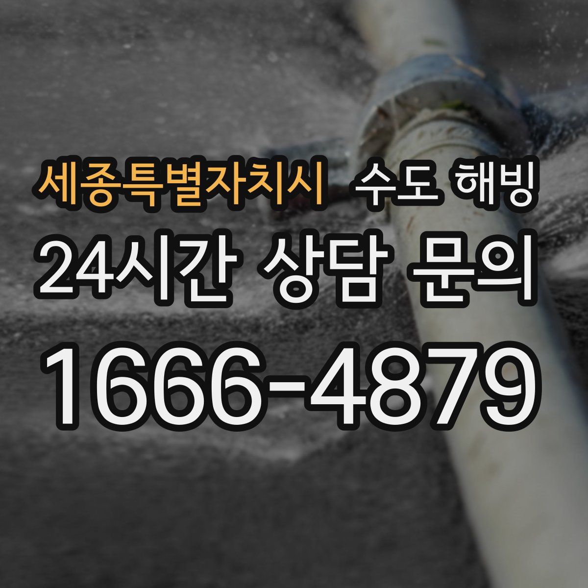 세종특별자치시 수도 해빙
