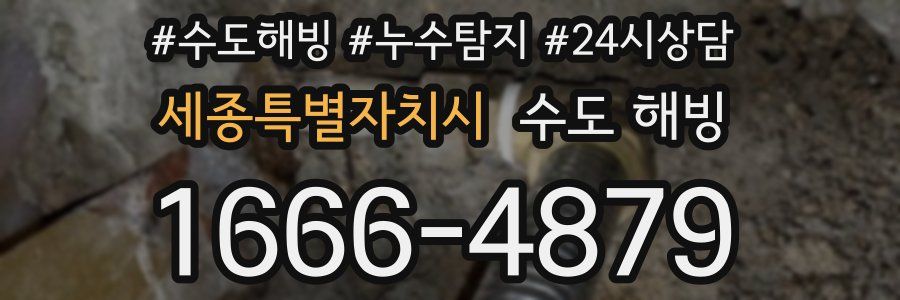 세종특별자치시 수도 해빙