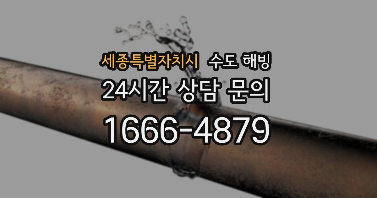 세종특별자치시 수도 해빙