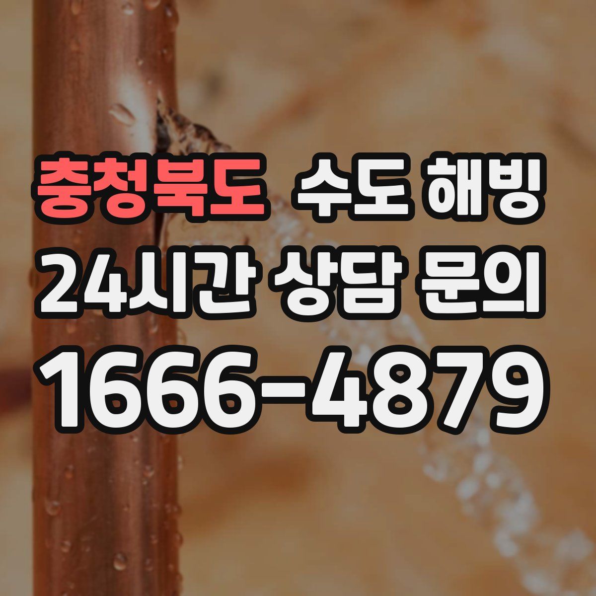 충청북도 수도 해빙