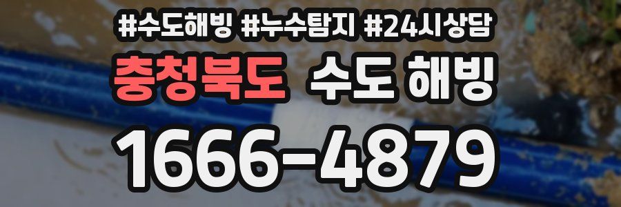 충청북도 수도 해빙