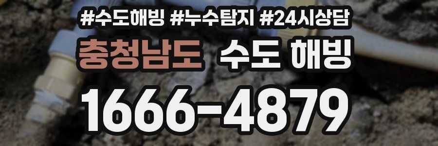 충청남도 수도 해빙