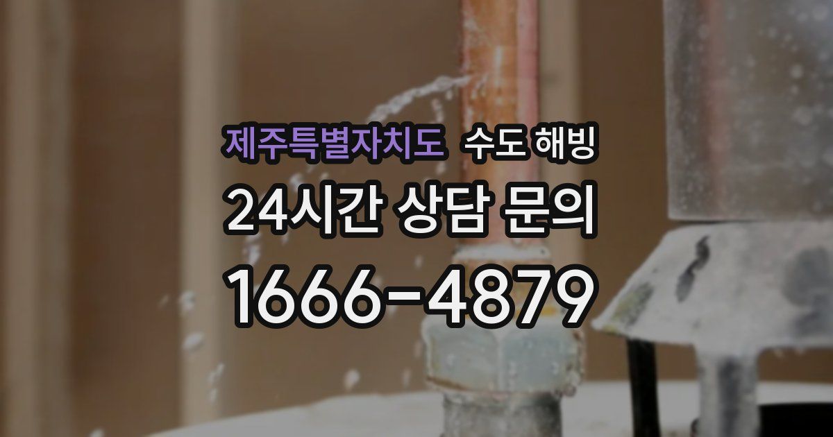 제주특별자치도 수도 해빙