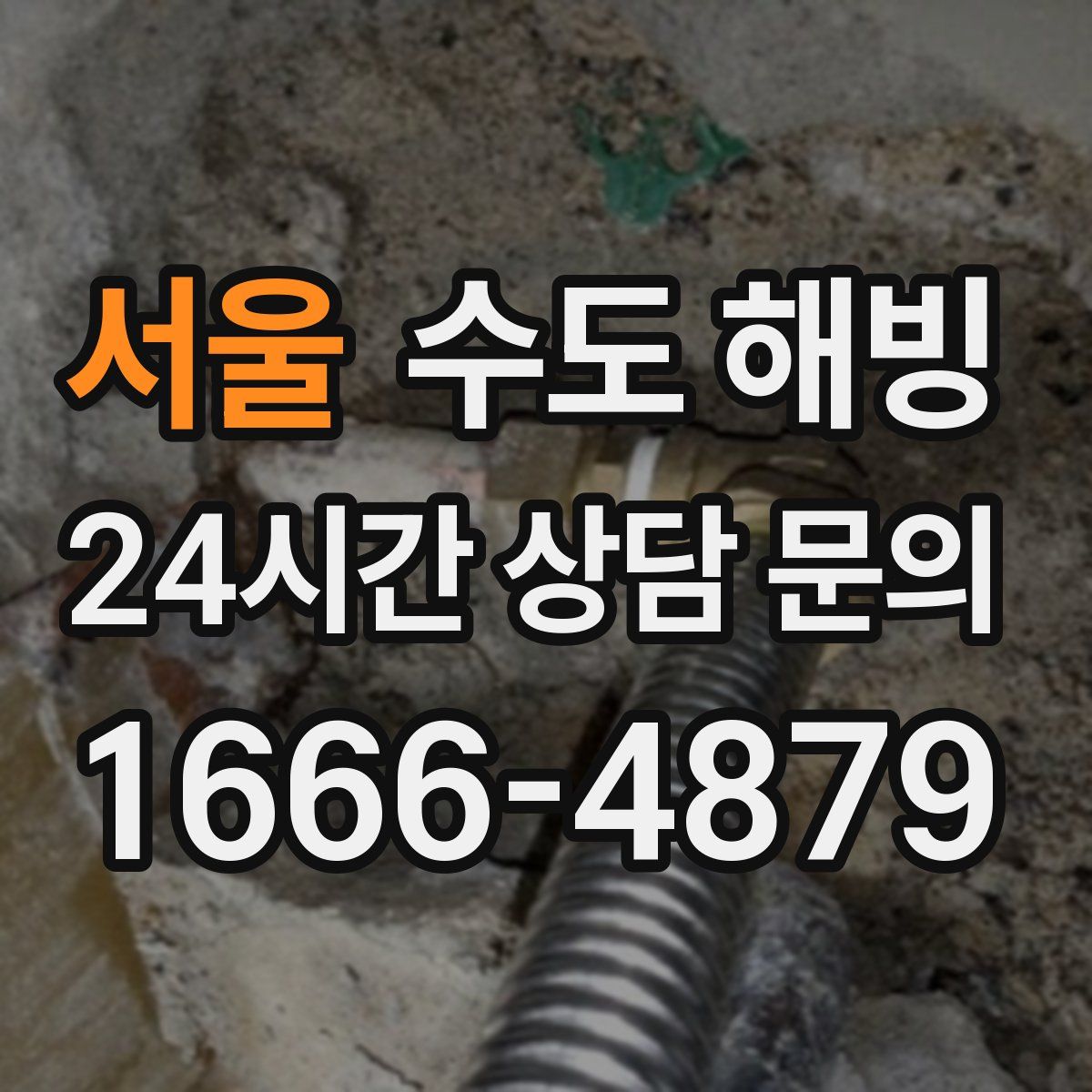 서울 수도 해빙