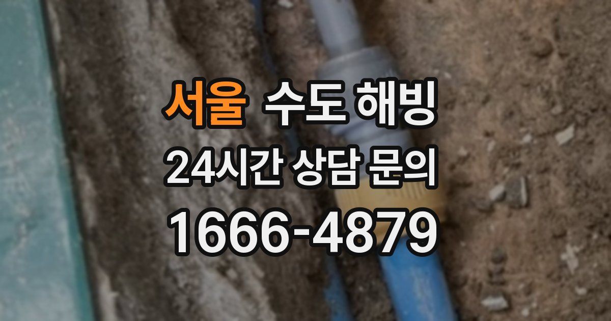 서울 수도 해빙