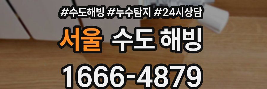 서울 수도 해빙