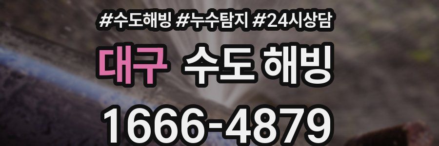 대구 수도 해빙