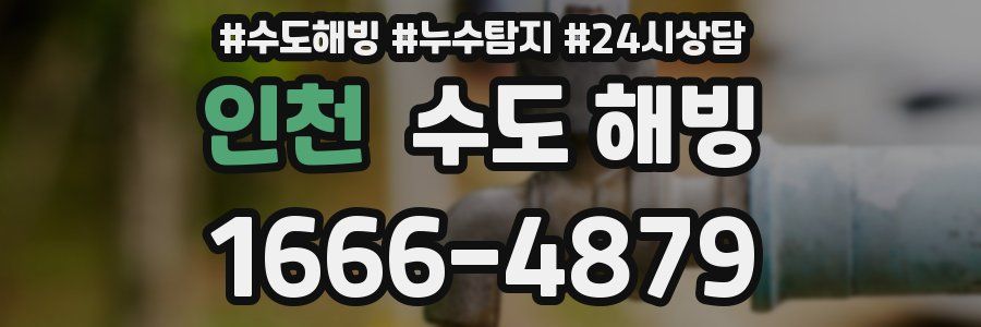 인천 수도 해빙