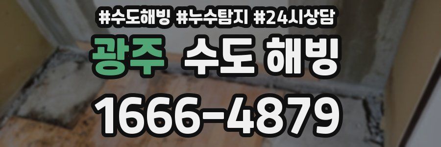 광주 수도 해빙