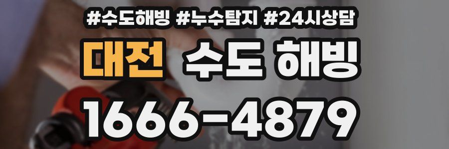 대전 수도 해빙