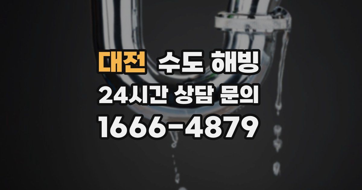대전 수도 해빙