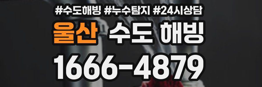 울산 수도 해빙