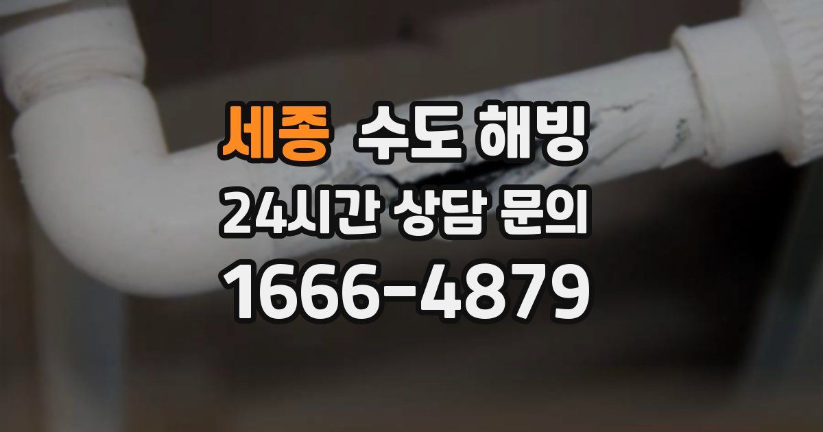 세종 수도 해빙