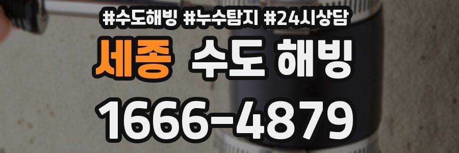 세종 수도 해빙