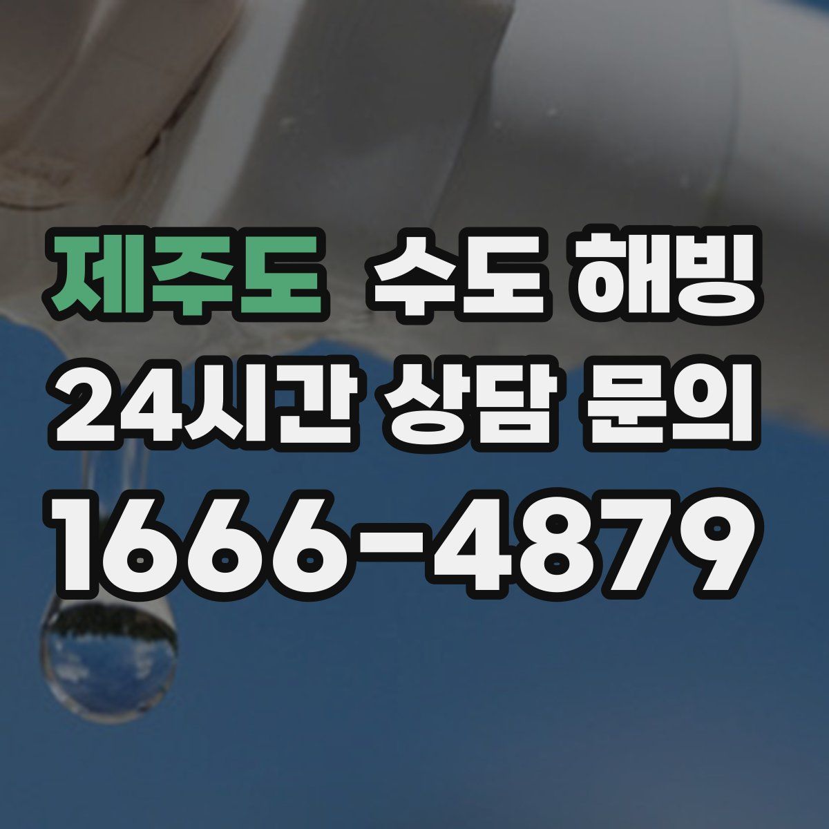 제주도 수도 해빙