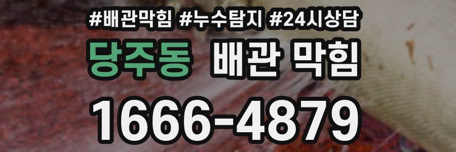 당주동 배관 막힘