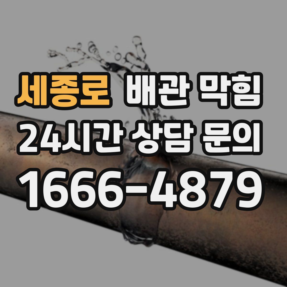 세종로 배관 막힘