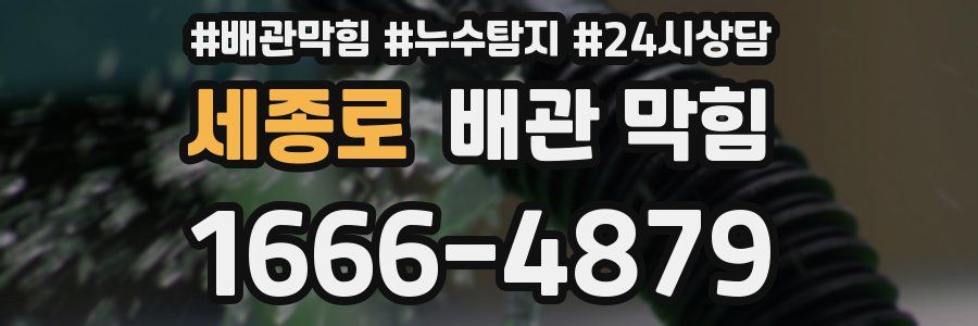 세종로 배관 막힘