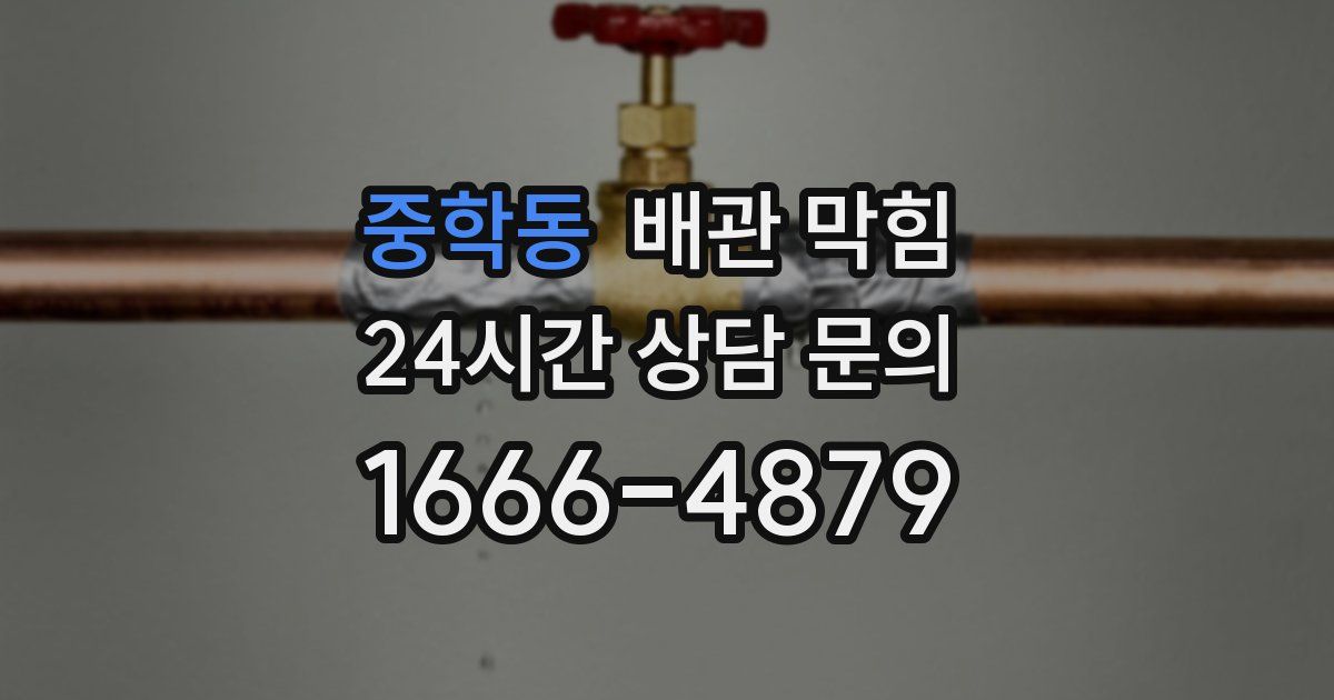 중학동 배관 막힘