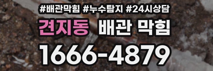 견지동 배관 막힘