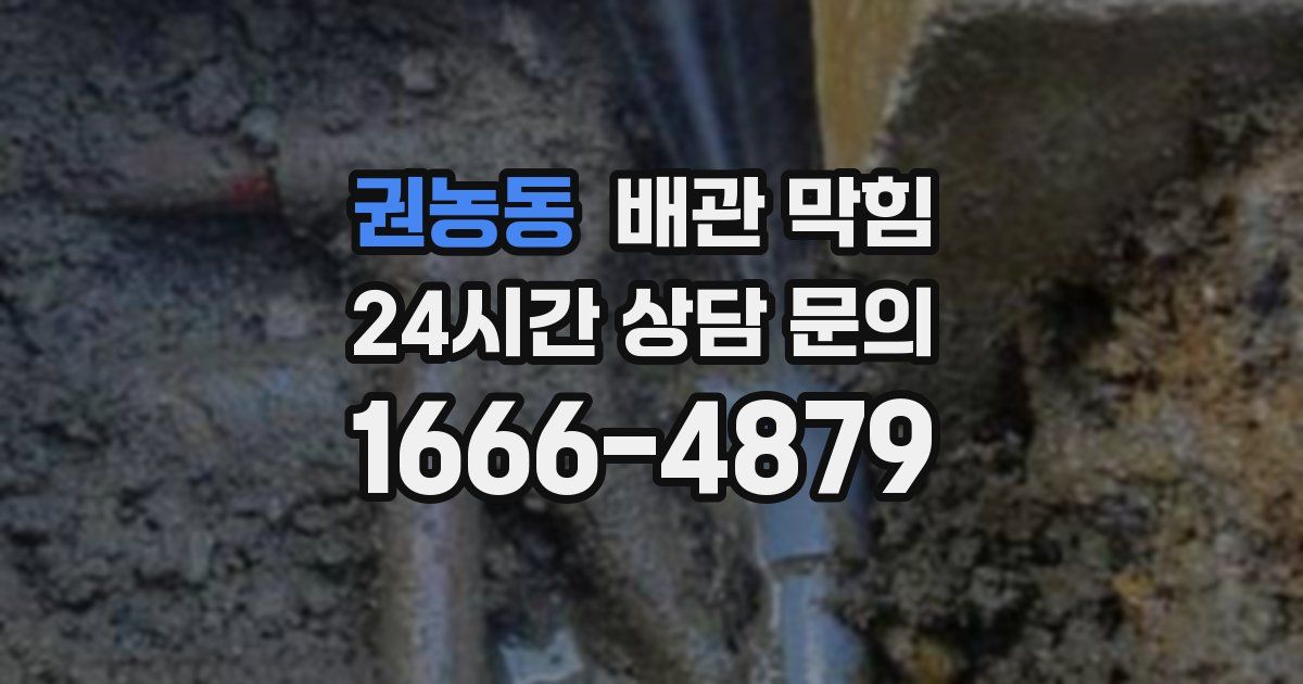 권농동 배관 막힘