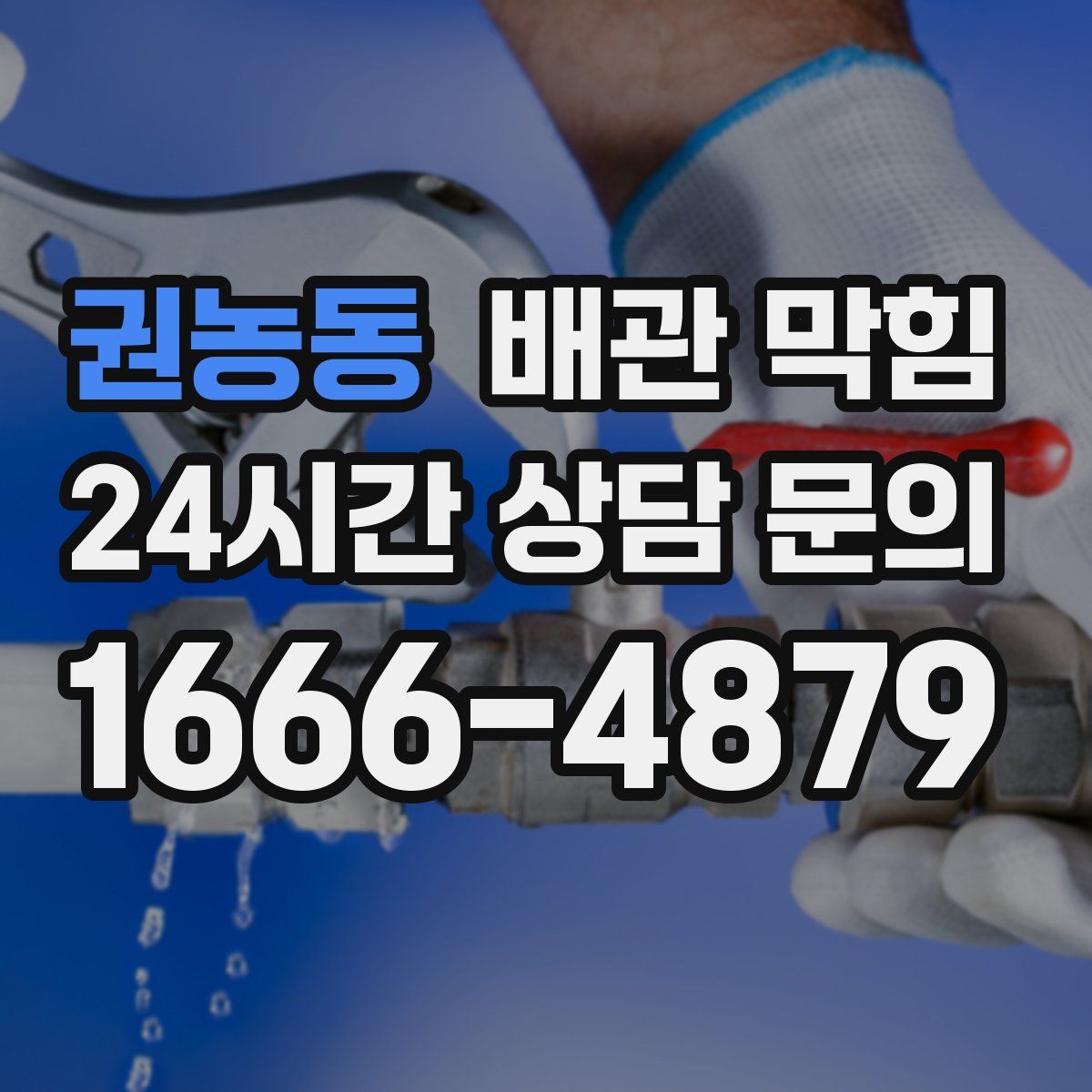 권농동 배관 막힘