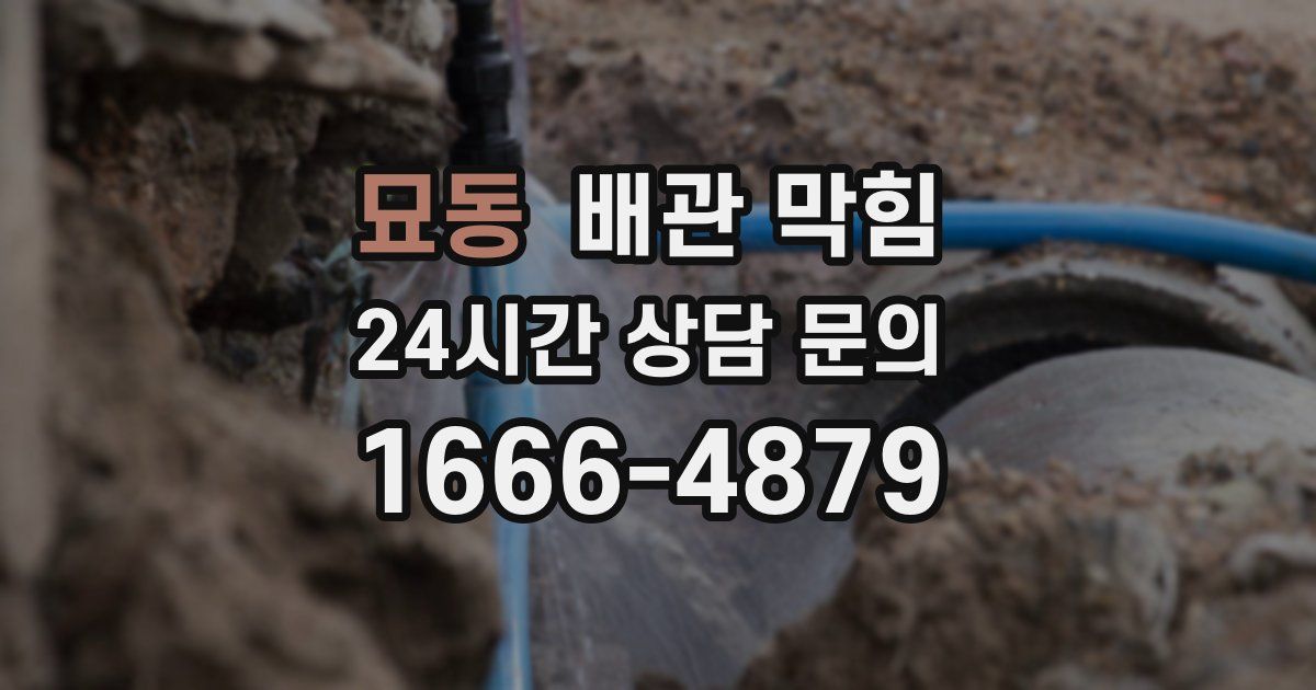 묘동 배관 막힘