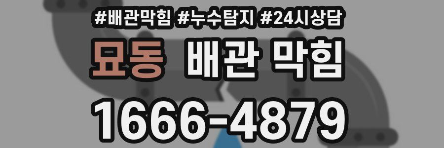 묘동 배관 막힘