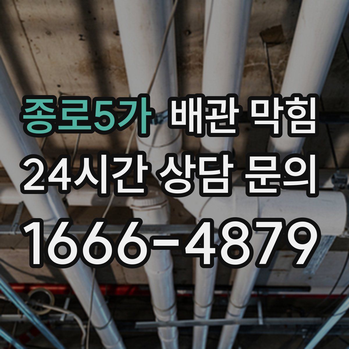 종로5가 배관 막힘