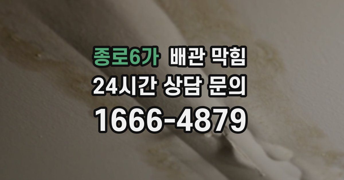 종로6가 배관 막힘