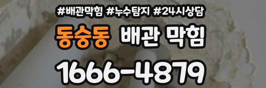 동숭동 배관 막힘