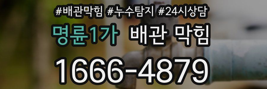 명륜1가 배관 막힘