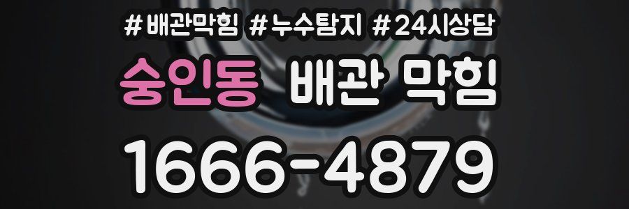 숭인동 배관 막힘