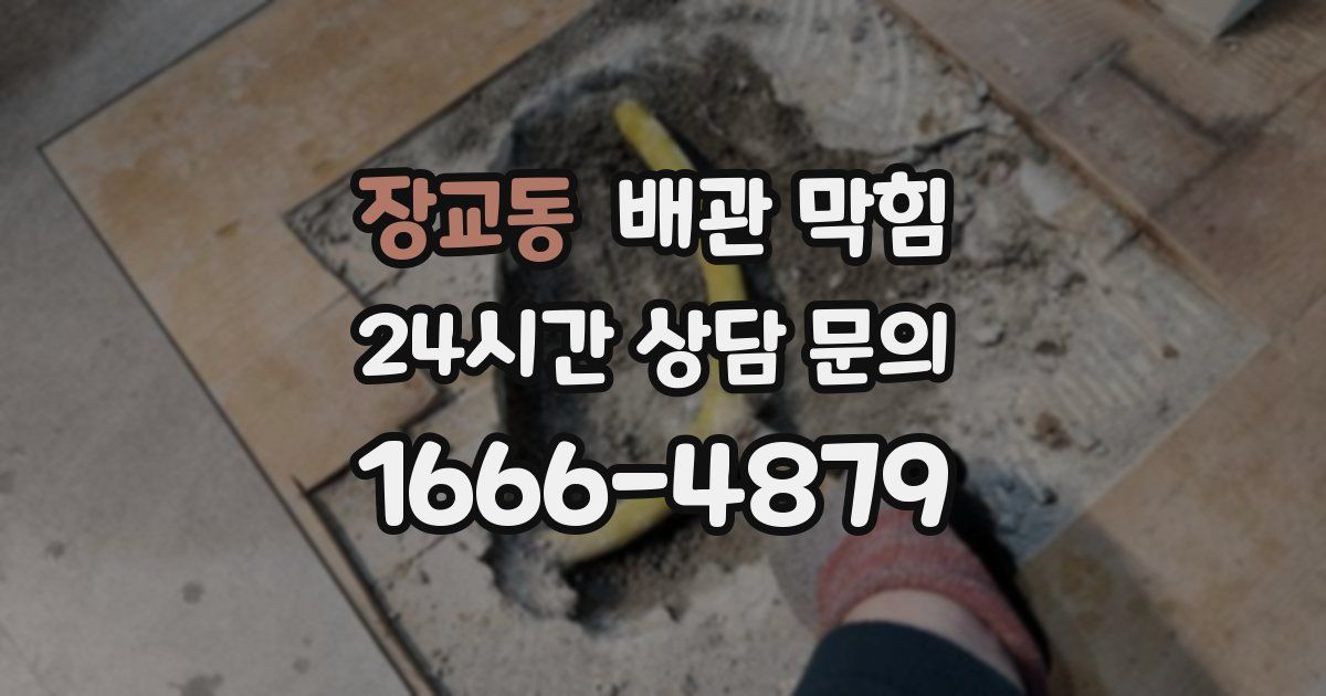 장교동 배관 막힘