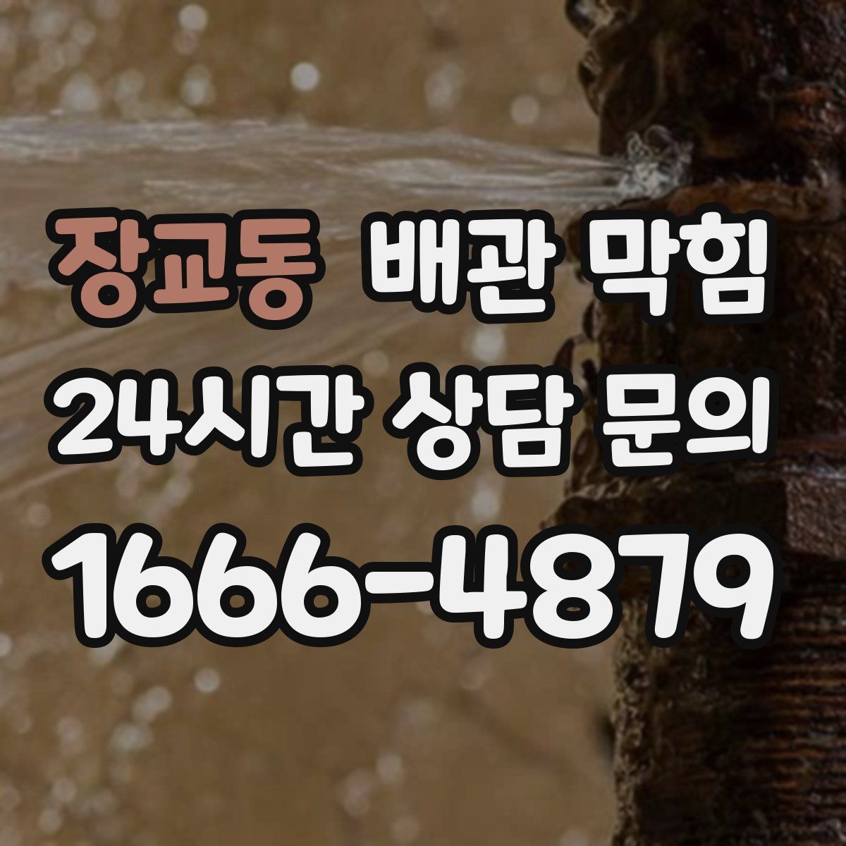 장교동 배관 막힘