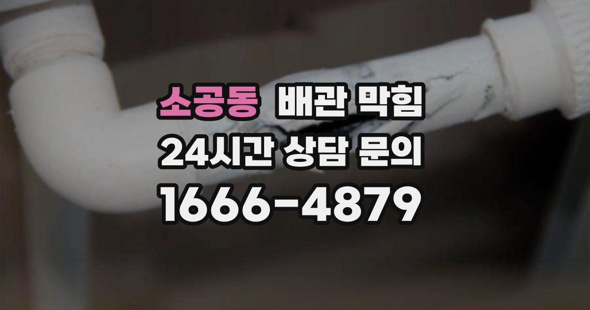 소공동 배관 막힘