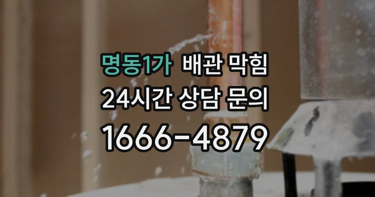 명동1가 배관 막힘