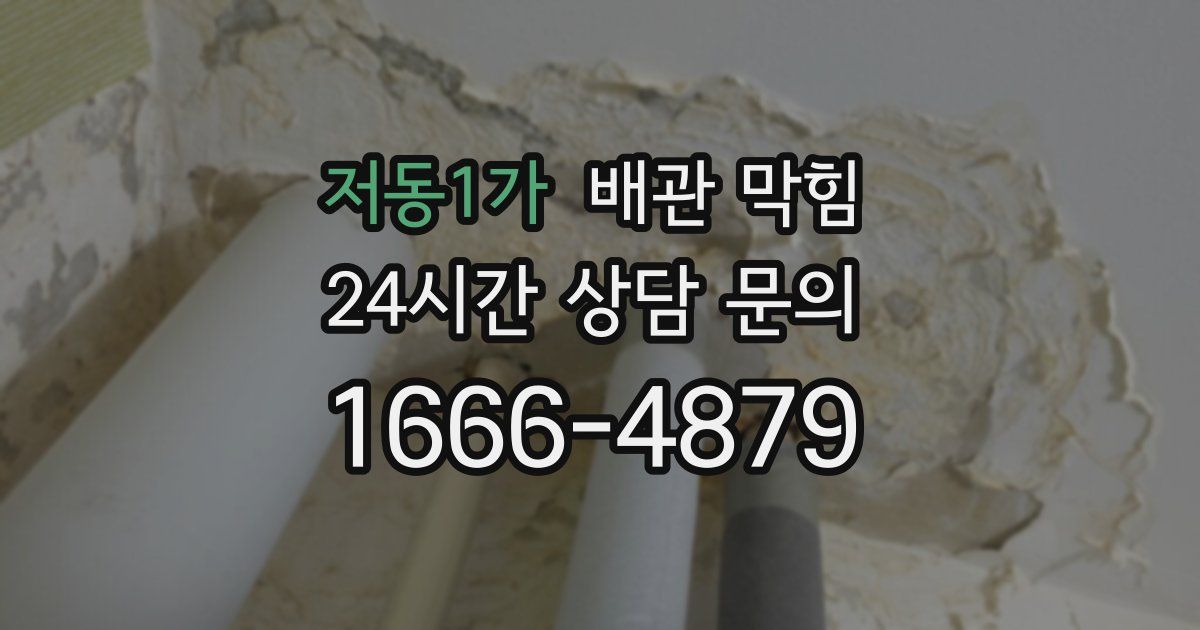 저동1가 배관 막힘