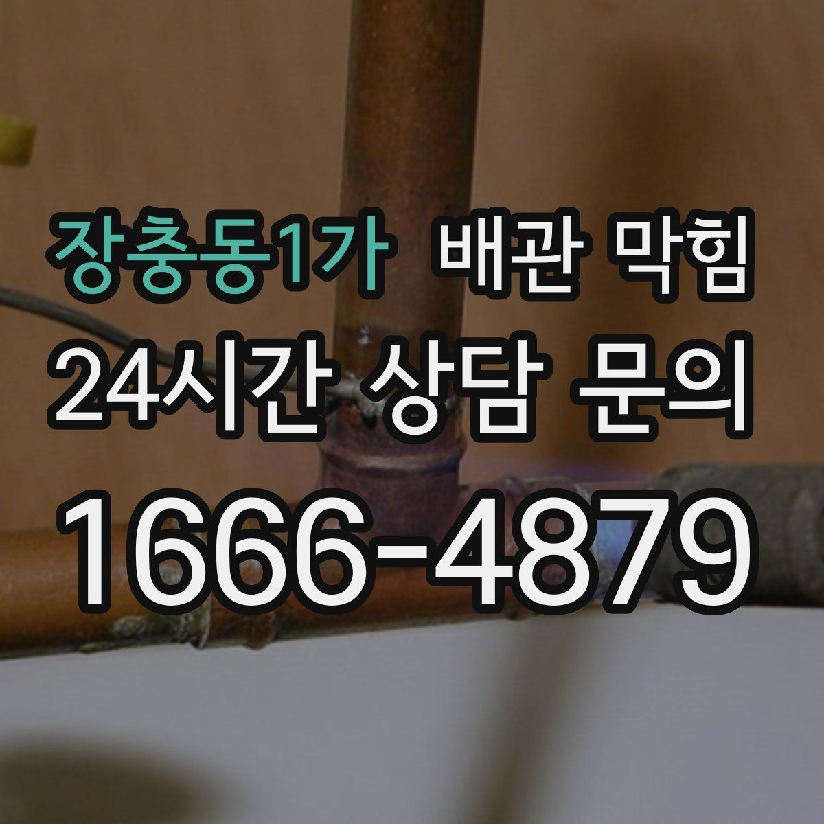 장충동1가 배관 막힘