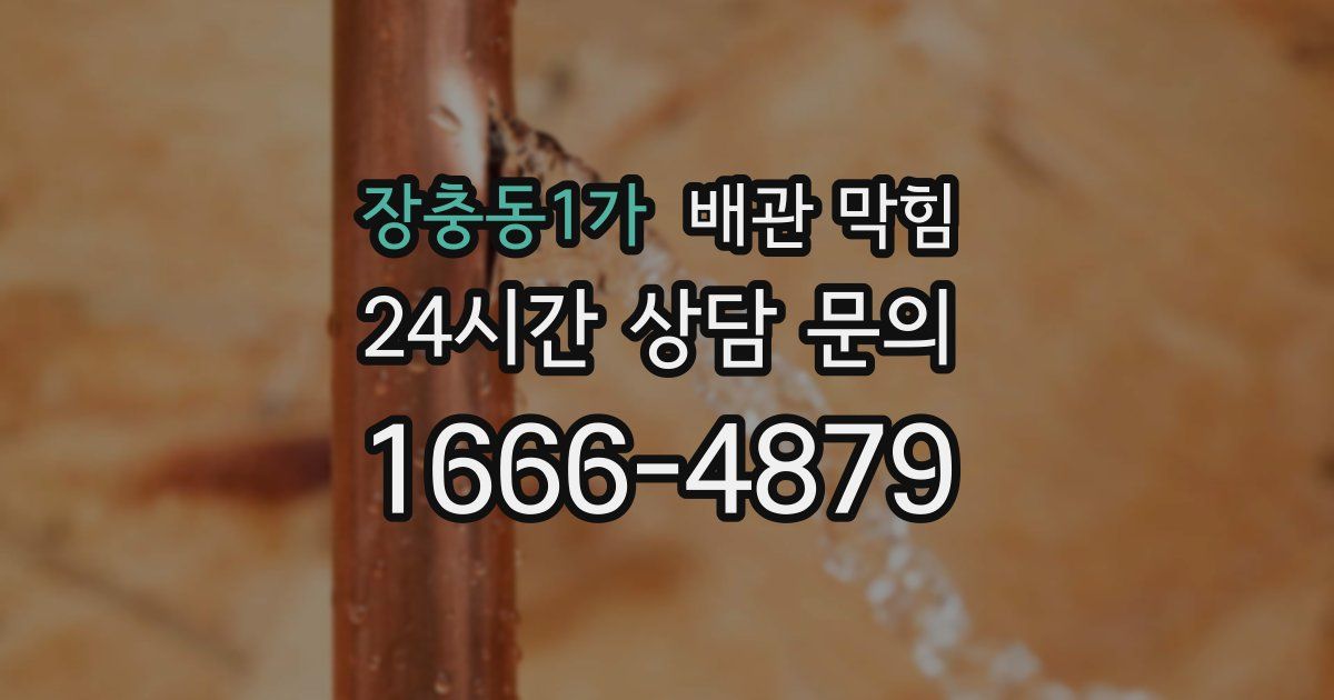장충동1가 배관 막힘